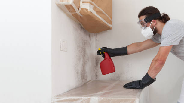 Professional Bathroom Mold Removal technician working in Riverside, PA